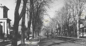 Black and white photo of a tree-lined street in winter. Bare branches and Victorian houses convey a serene, vintage atmosphere. Sparse pedestrians.