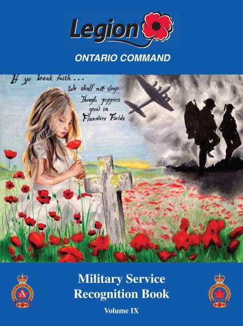 A young girl holds a red poppy near a soldier's grave, with poppies all around. Silhouettes of soldiers and a plane appear in the cloudy sky above.