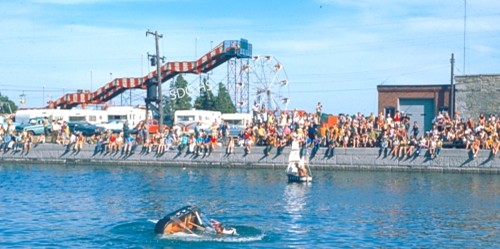 Boat sinks in lively water festival; crowd watches from canal edge with a Ferris wheel and slide in the sunny background, creating a festive atmosphere.