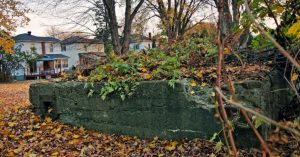 Rear of 526 Amelia St.- former bakery. Overgrown concrete slab surrounded by autumn leaves, with suburban houses and bare trees in the background, conveying an abandoned, peaceful feel.