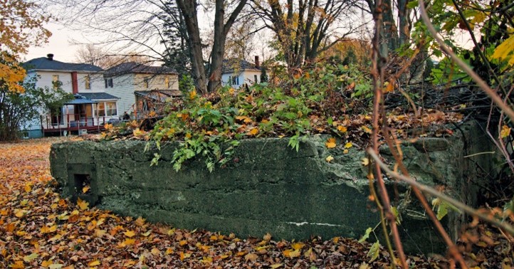Rear of 526 Amelia St.- former bakery. Overgrown concrete slab surrounded by autumn leaves, with suburban houses and bare trees in the background, conveying an abandoned, peaceful feel.